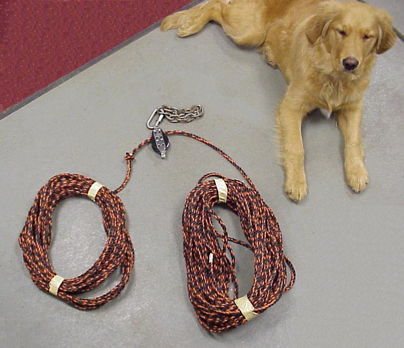 Pulley System for quick rasing and lowering of antenna.  And my dog MAXIMILLION.